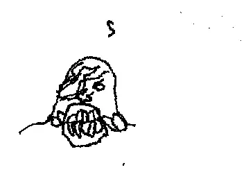 NEMISIS