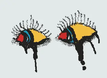 EYES