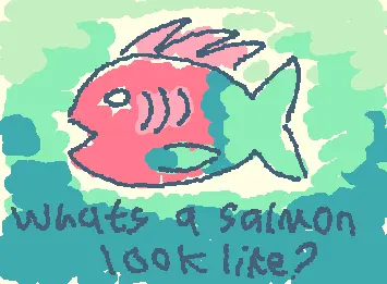 How to salmon?