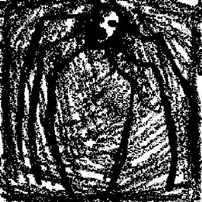 spider...