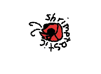 shrimptastic