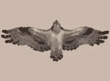osprey (spiral_haze on tt)