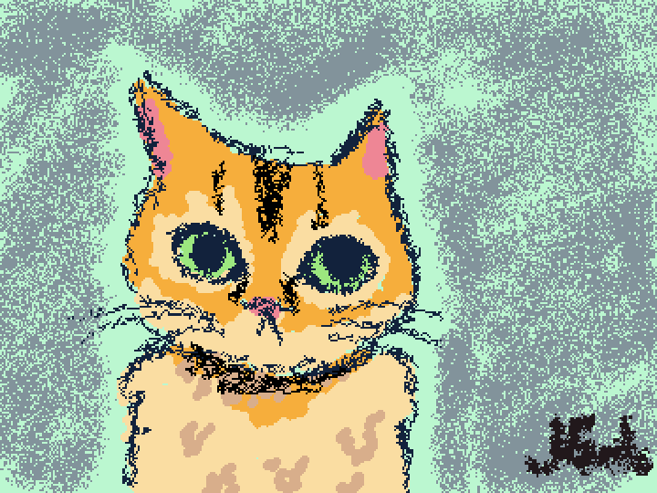 kitty