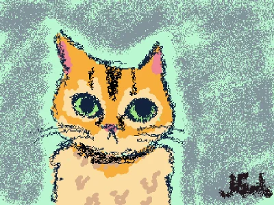 kitty