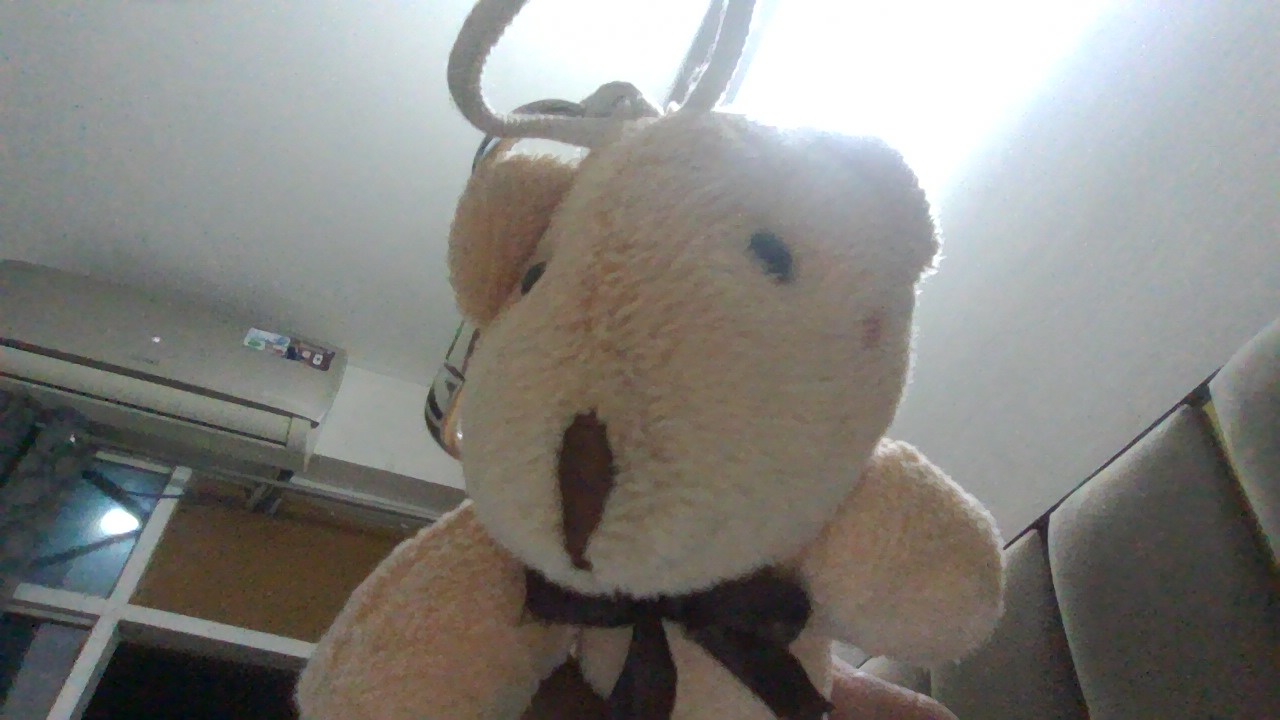 teddy