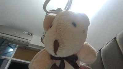 teddy