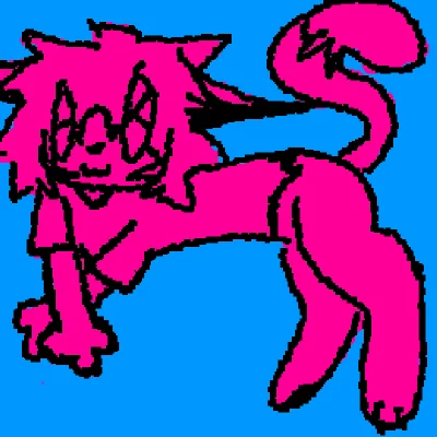 kitty cat