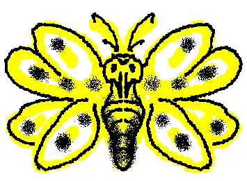 'Mothskull