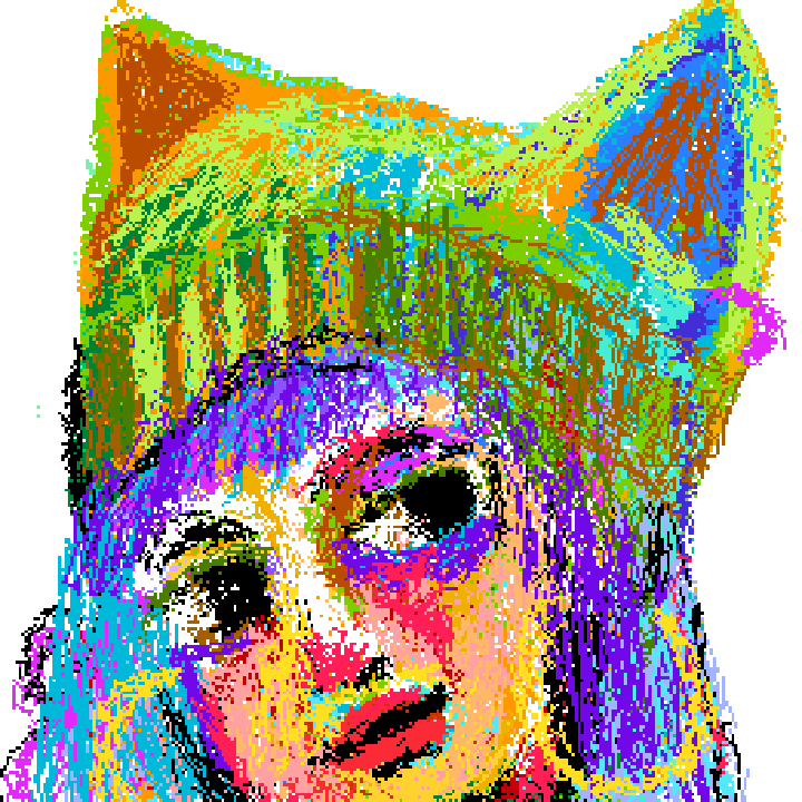 kitty hat