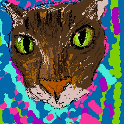 My cat