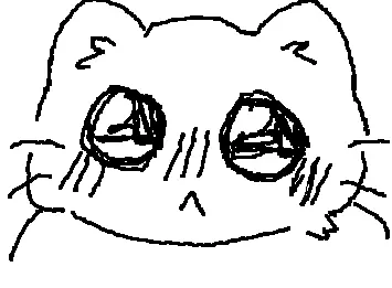 Big eyed cat