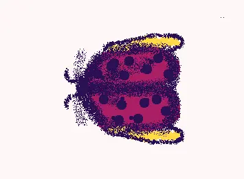 Ladybug