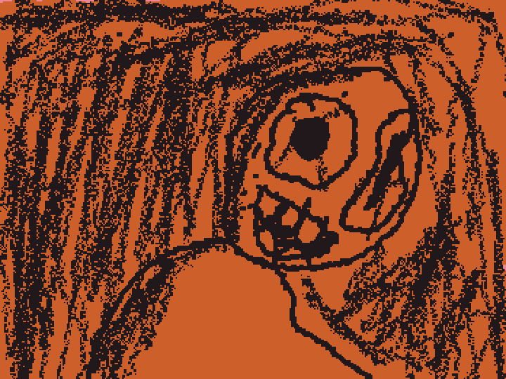 Bob