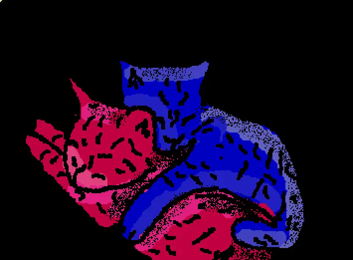 Tv cat