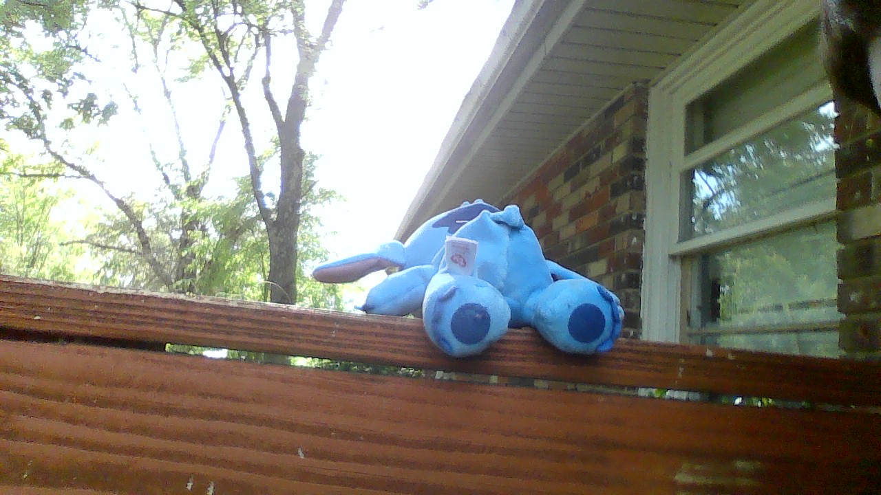 oh my god look what I found on my porch