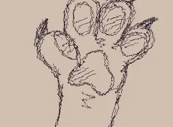 paw