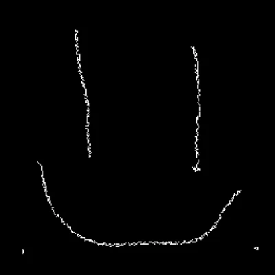 face