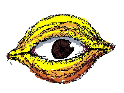 Lemmoneye
