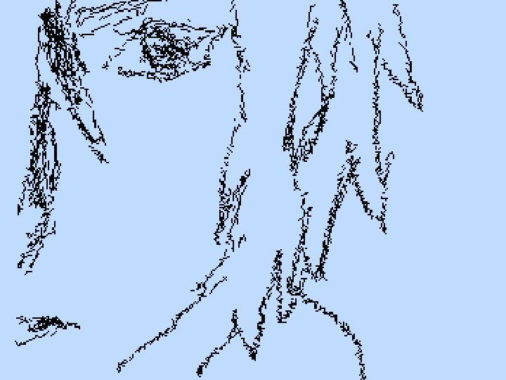 nose